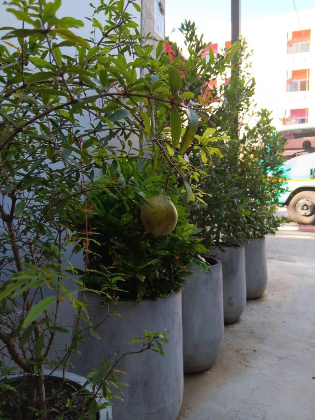 The Brown Boutique Patong Hotel Ngoại thất bức ảnh